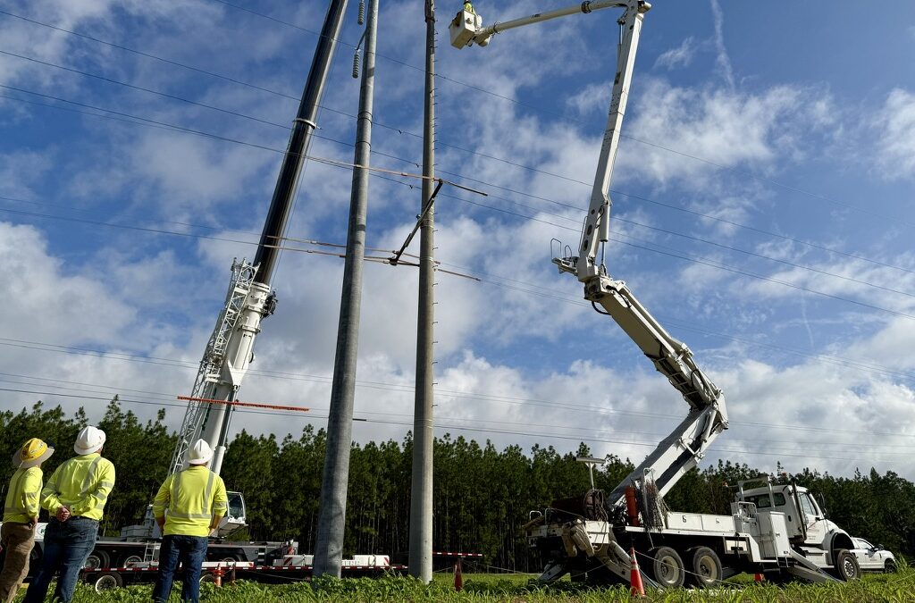 Jesup-Offerman 115kV Line